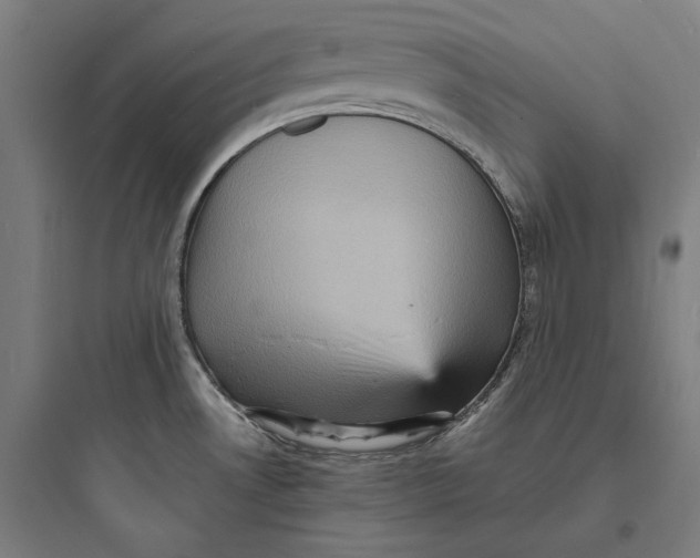 X0000093731530200711060949