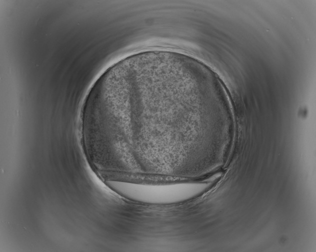 X0000093731531200711060949