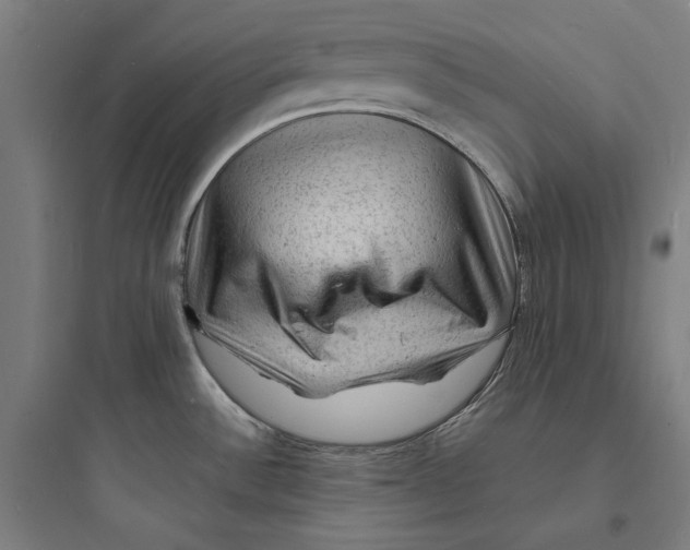 X0000093731532200711060949