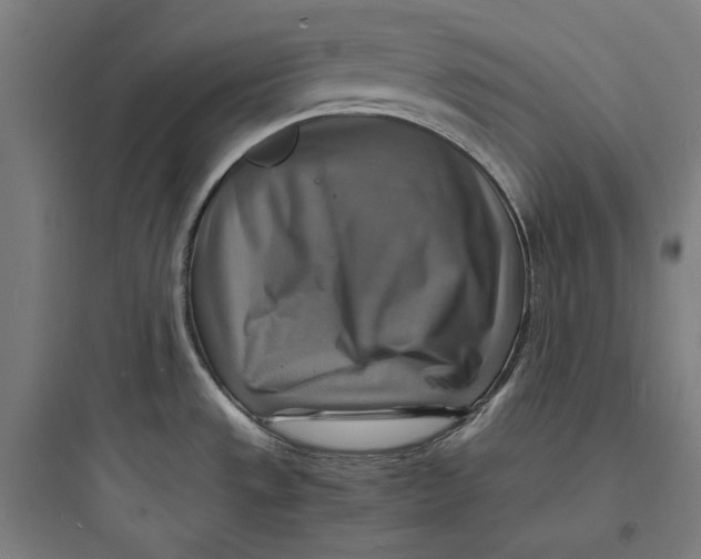 X0000093731533200711060949