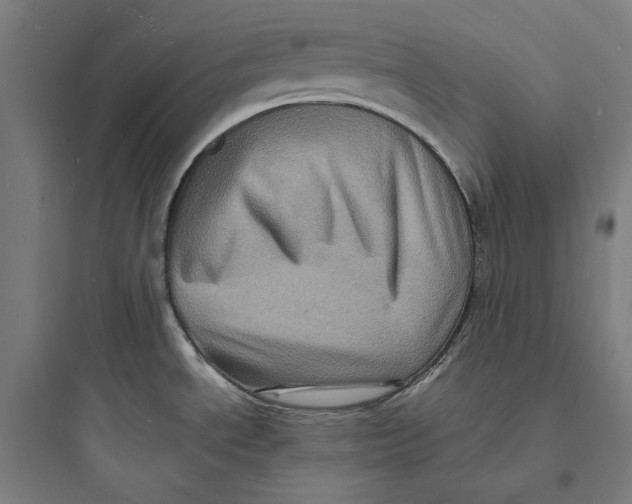 X0000093731534200711060949