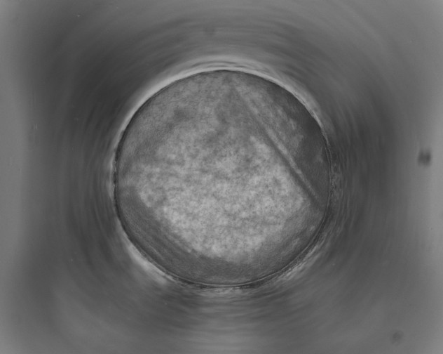 X0000093731535200711060949