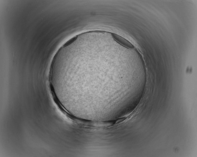 X0000093731536200711060949