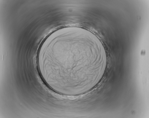 X0000093730002200711131049