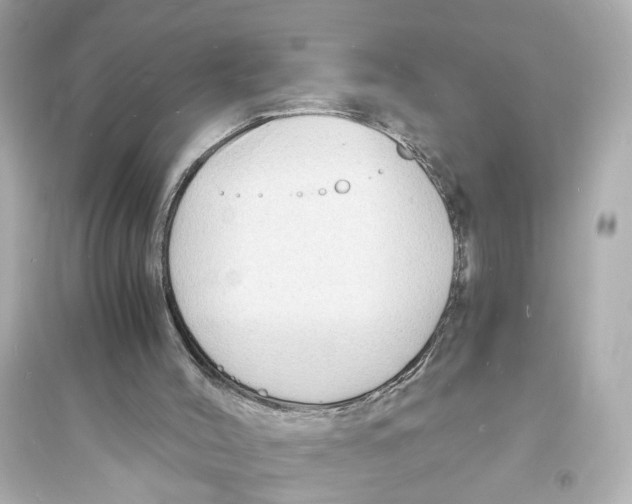 X0000093730004200711131049