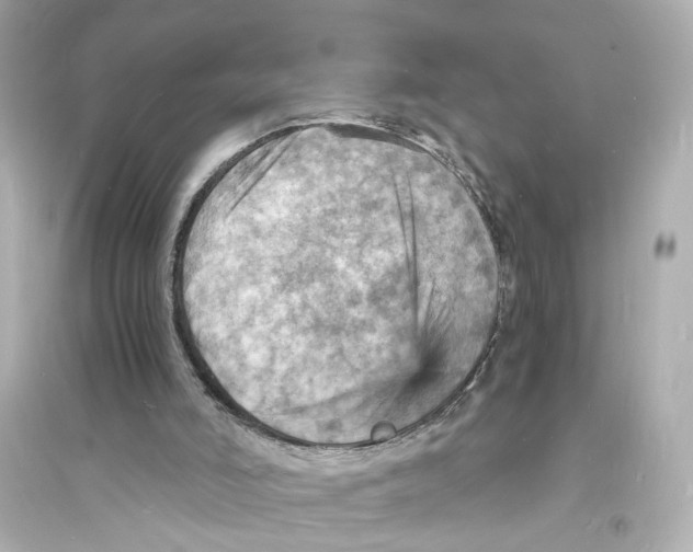 X0000093730006200711131049