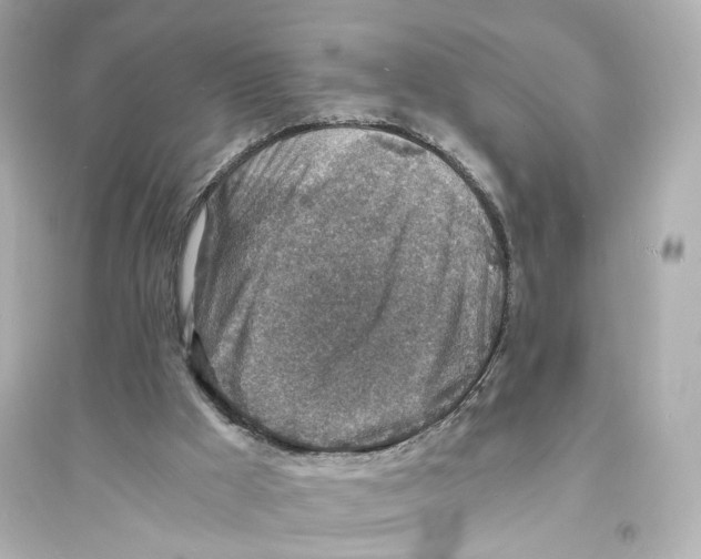 X0000093730009200711131049