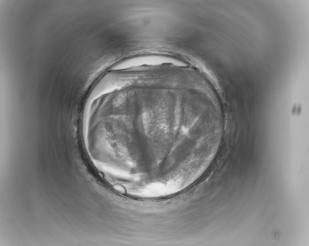 X0000093730010200711131049