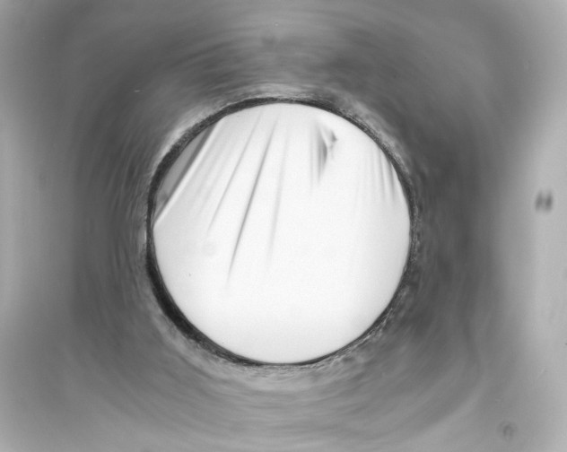X0000093730011200711131049