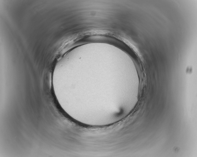 X0000093730013200711131049