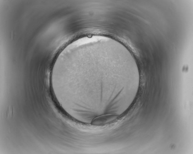 X0000093730014200711131049