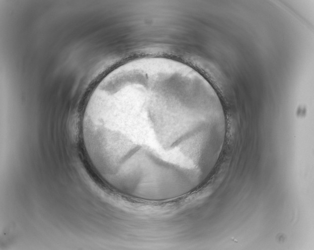 X0000093730016200711131049