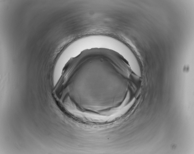 X0000093730019200711131048