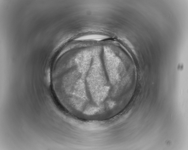 X0000093730020200711131048
