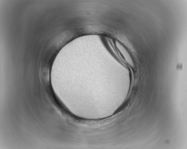 X0000093730021200711131048