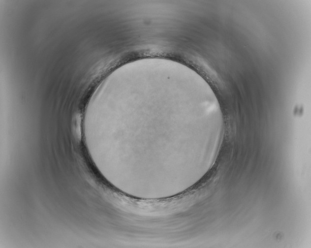 X0000093730022200711131048