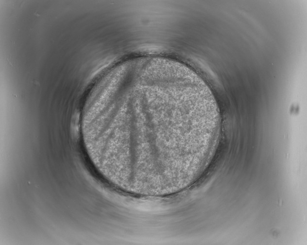 X0000093730024200711131048