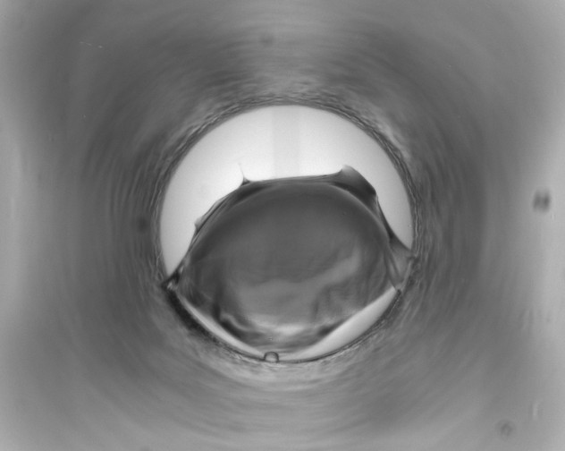 X0000093730027200711131048