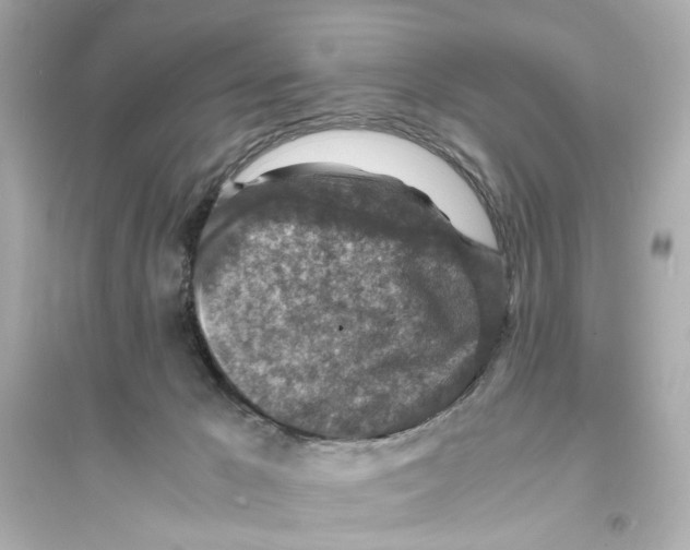 X0000093730029200711131048