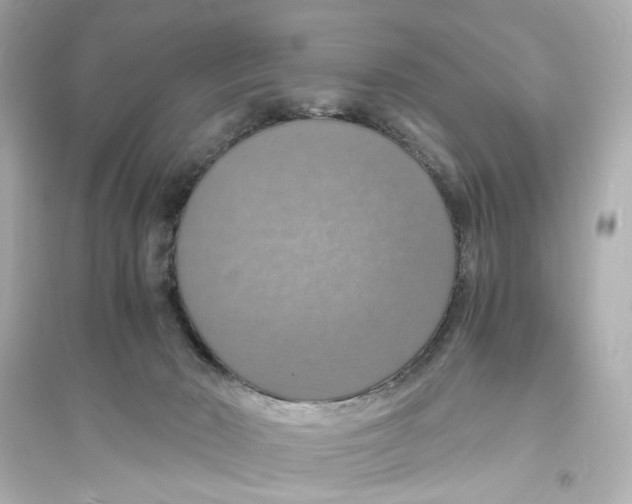 X0000093730030200711131048