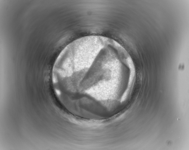 X0000093730032200711131048