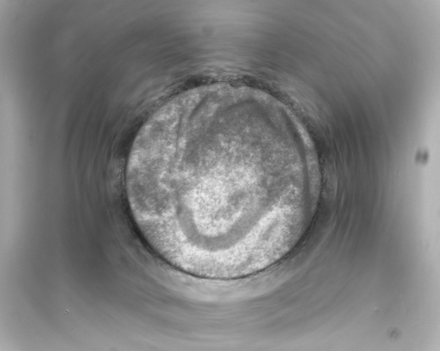 X0000093730034200711131048