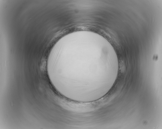 X0000093730036200711131048