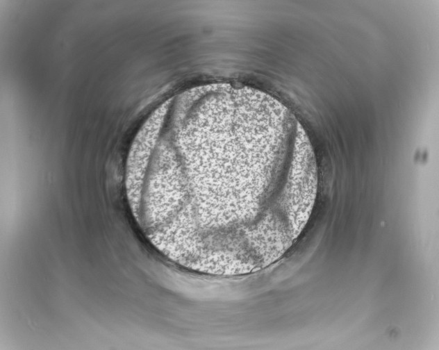 X0000093730040200711131048