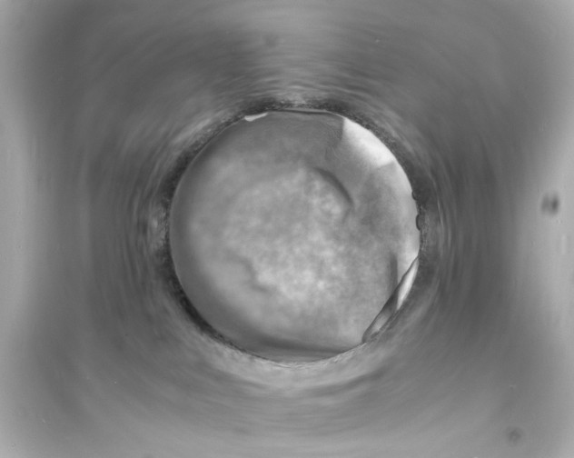 X0000093730043200711131048