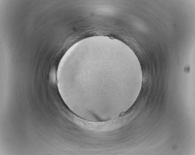 X0000093730046200711131048
