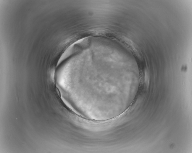 X0000093730047200711131048