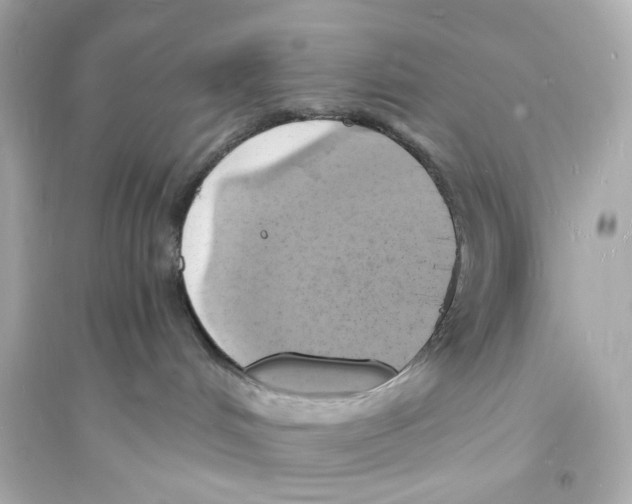 X0000093730048200711131048