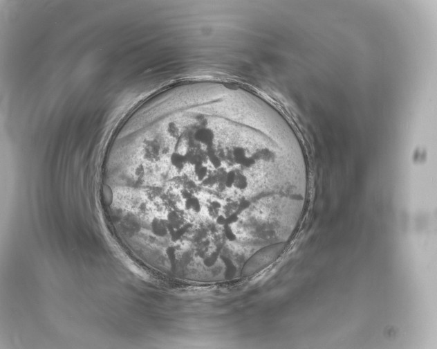 X0000093730049200711131047
