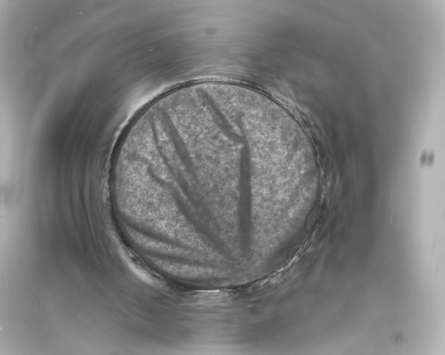 X0000093730050200711131047