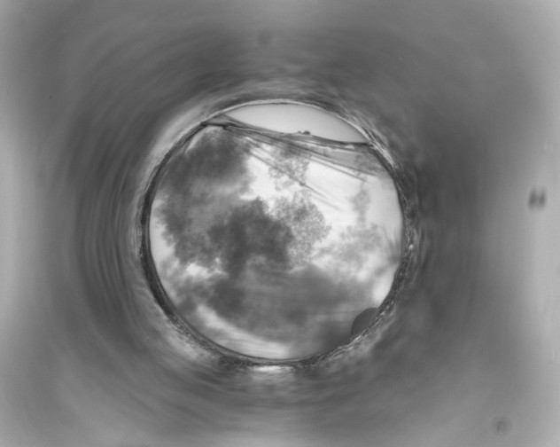 X0000093730053200711131047