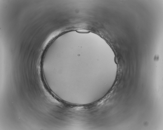 X0000093730054200711131047