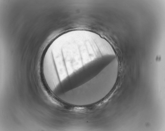 X0000093730055200711131048
