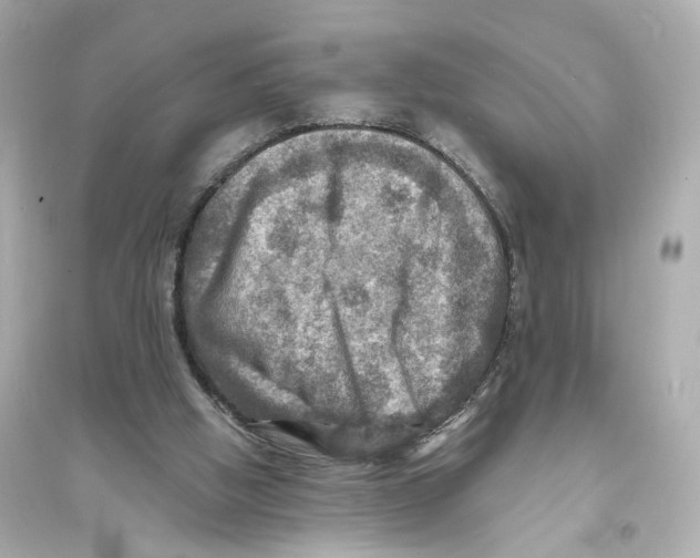 X0000093730058200711131048