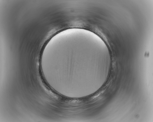 X0000093730059200711131048