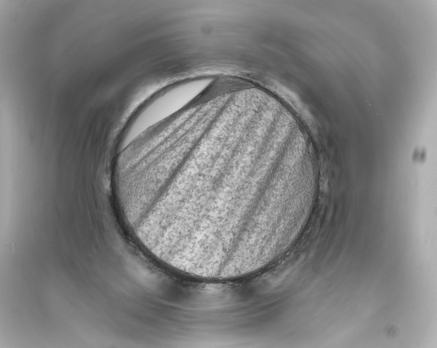 X0000093730060200711131048