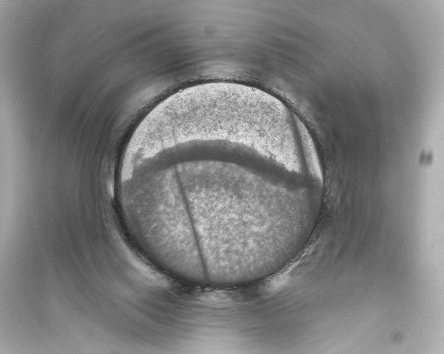 X0000093730062200711131048