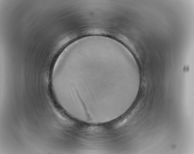 X0000093730063200711131048
