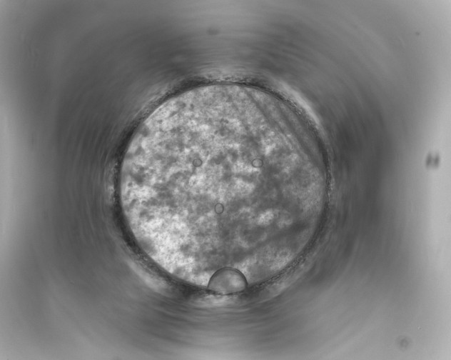 X0000093730065200711131048