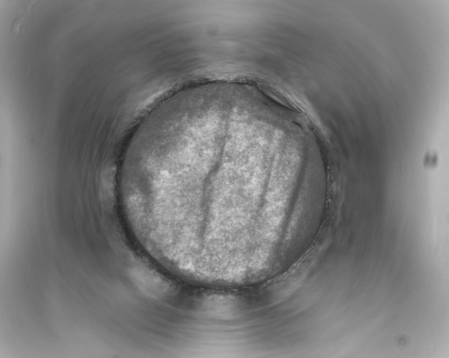 X0000093730066200711131048