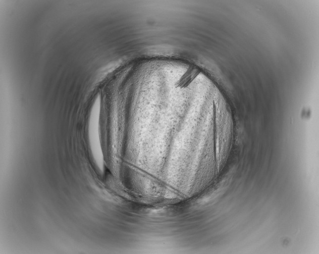 X0000093730068200711131048