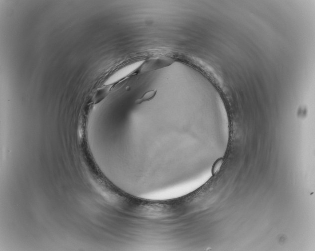 X0000093730069200711131048