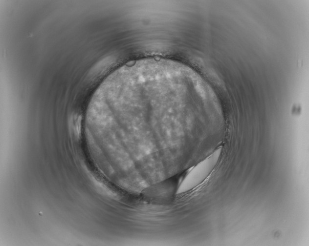 X0000093730070200711131048