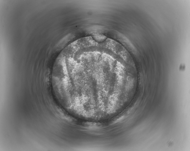 X0000093730073200711131048