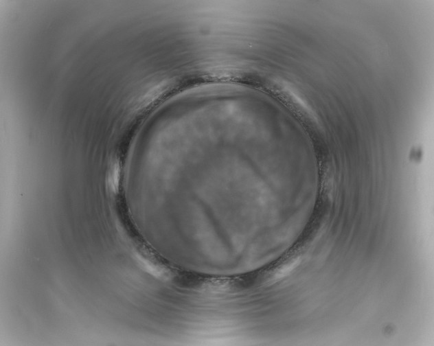 X0000093730076200711131048