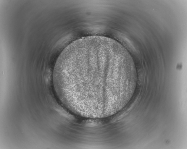 X0000093730077200711131048